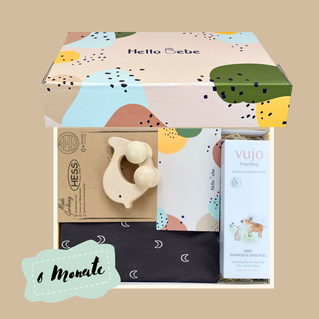 Hello Bebe Mini Box 6 Monate in grau