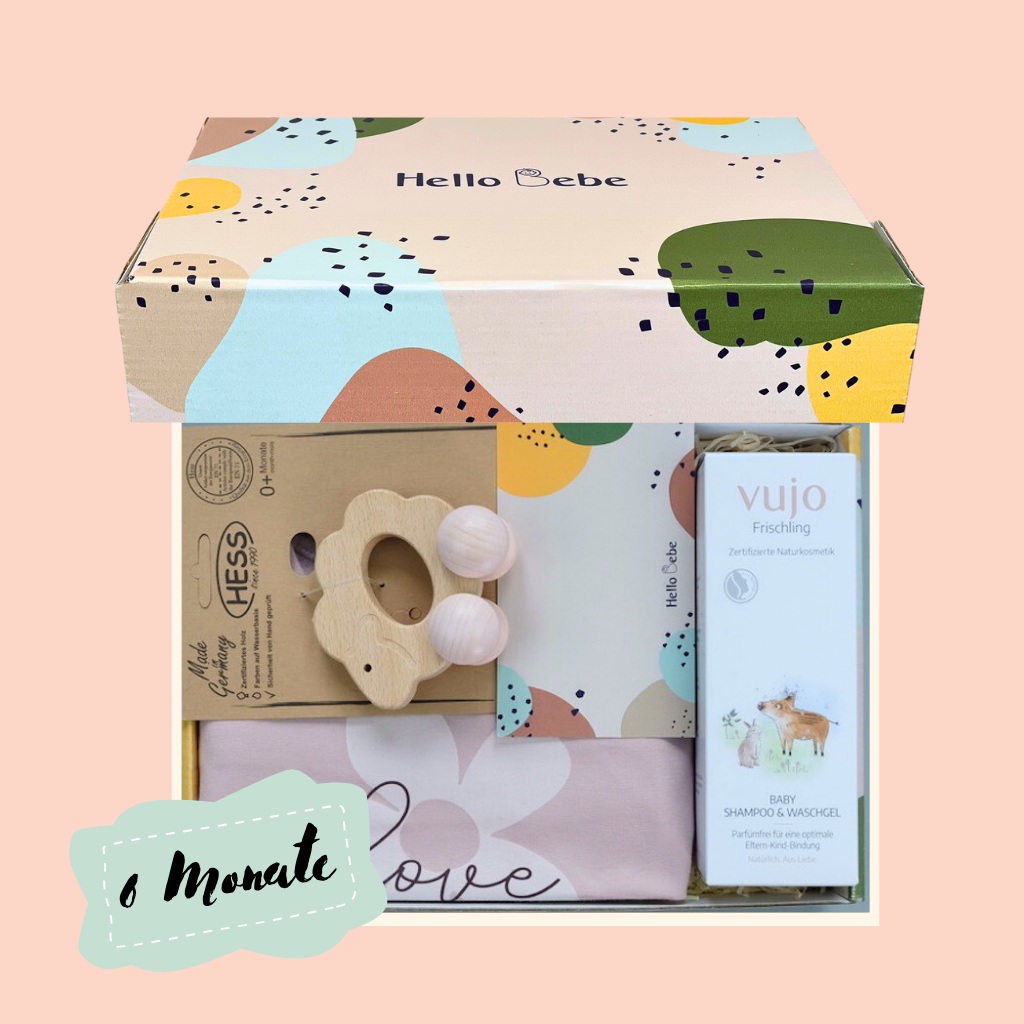 Hello Bebe Mini Box 6 Monate in rosa